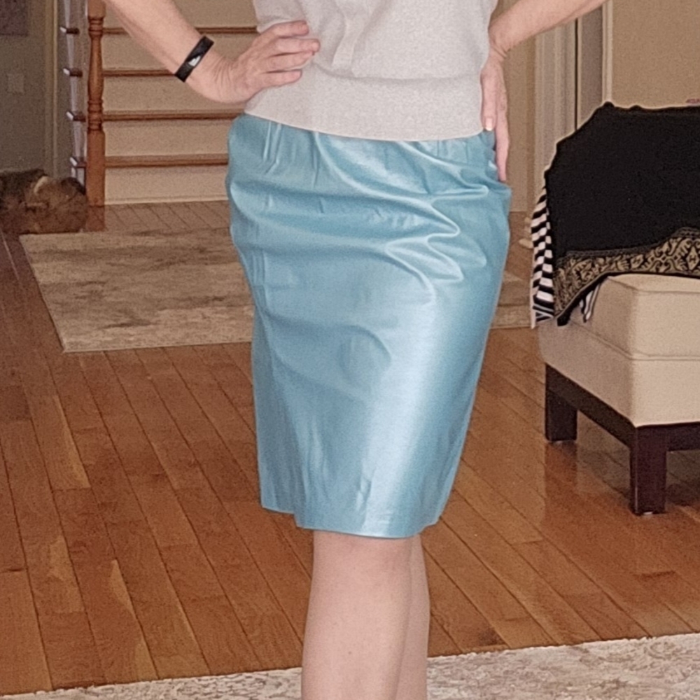 Elegant Blue Skirt
